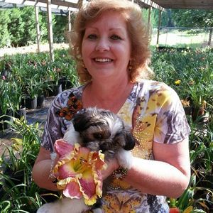 Meet your Posher, Joyce